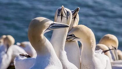 星空体育平台-中国青少年篮球发展政策落实现状及优化方案研究，青少年篮球发展现状及对策研究