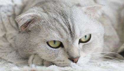 星空体育平台-中国青少年篮球发展政策落实现状及优化方案研究，青少年篮球发展现状及对策研究