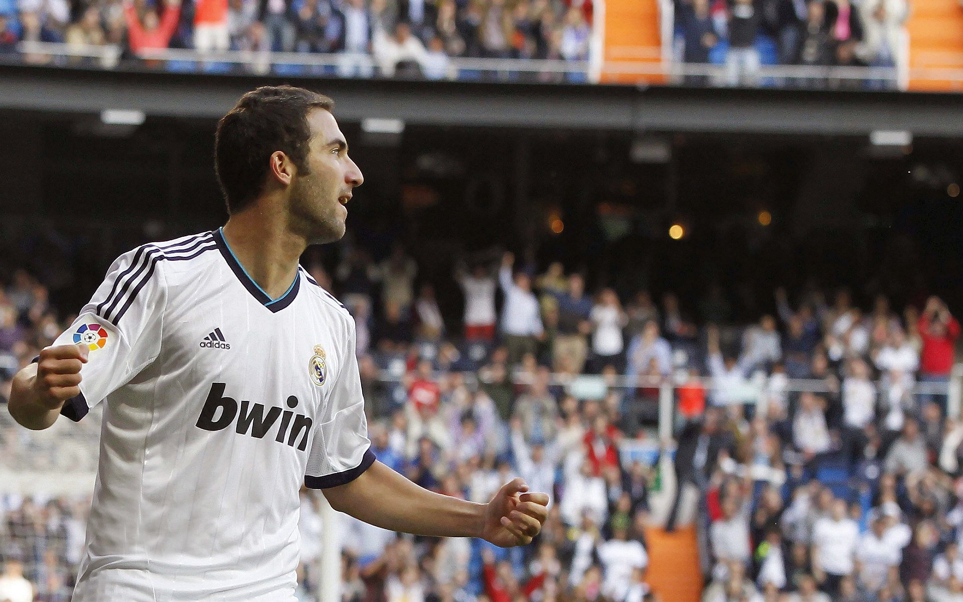 法国国家队备战国际大赛,法国队规划