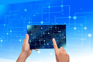 星空体育星空体育官网入口-中国篮球青训体系教练员能力评估与发展规划，篮球教练员素养